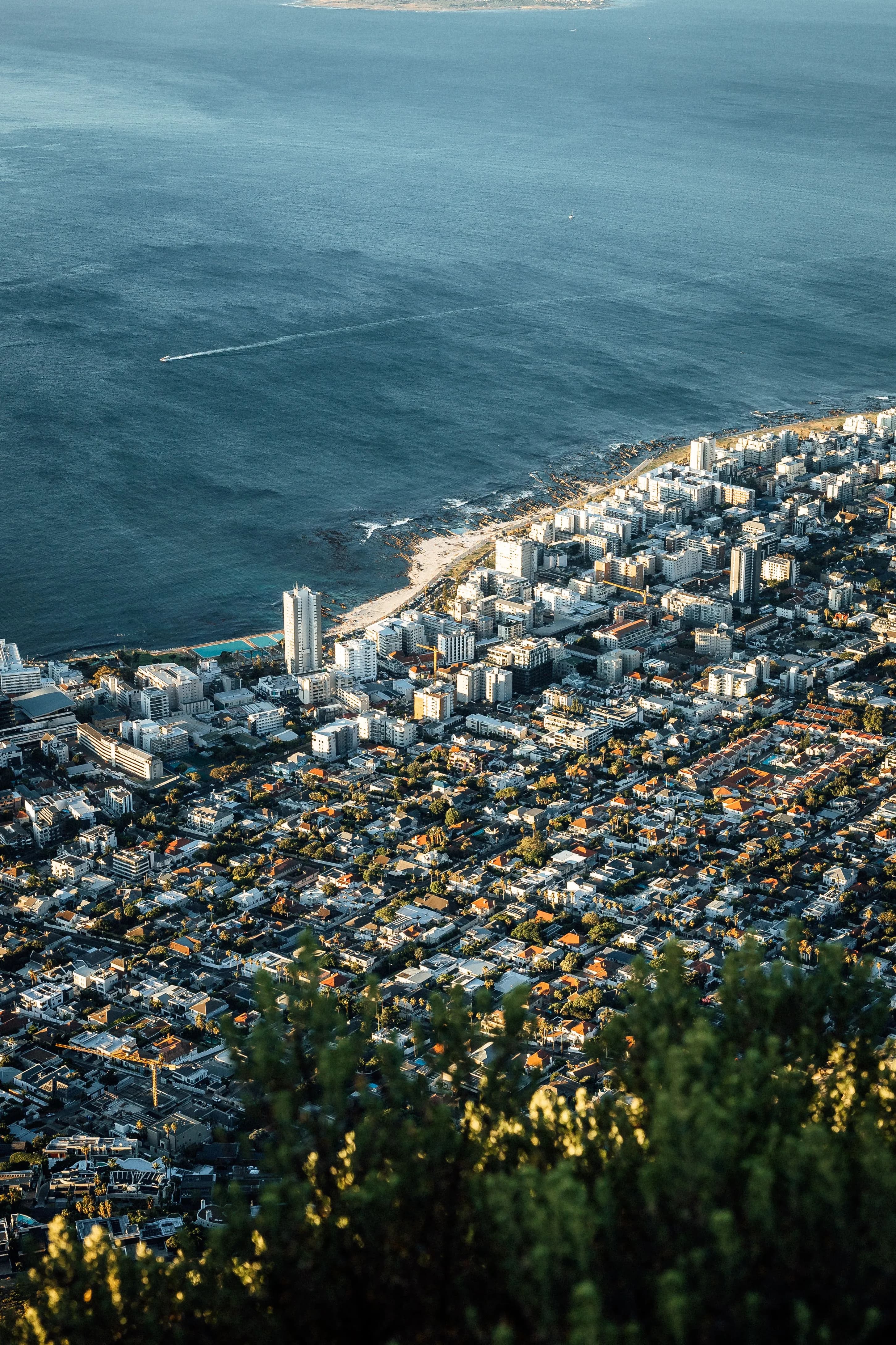 Why South Africa Should Be Your Next Safari