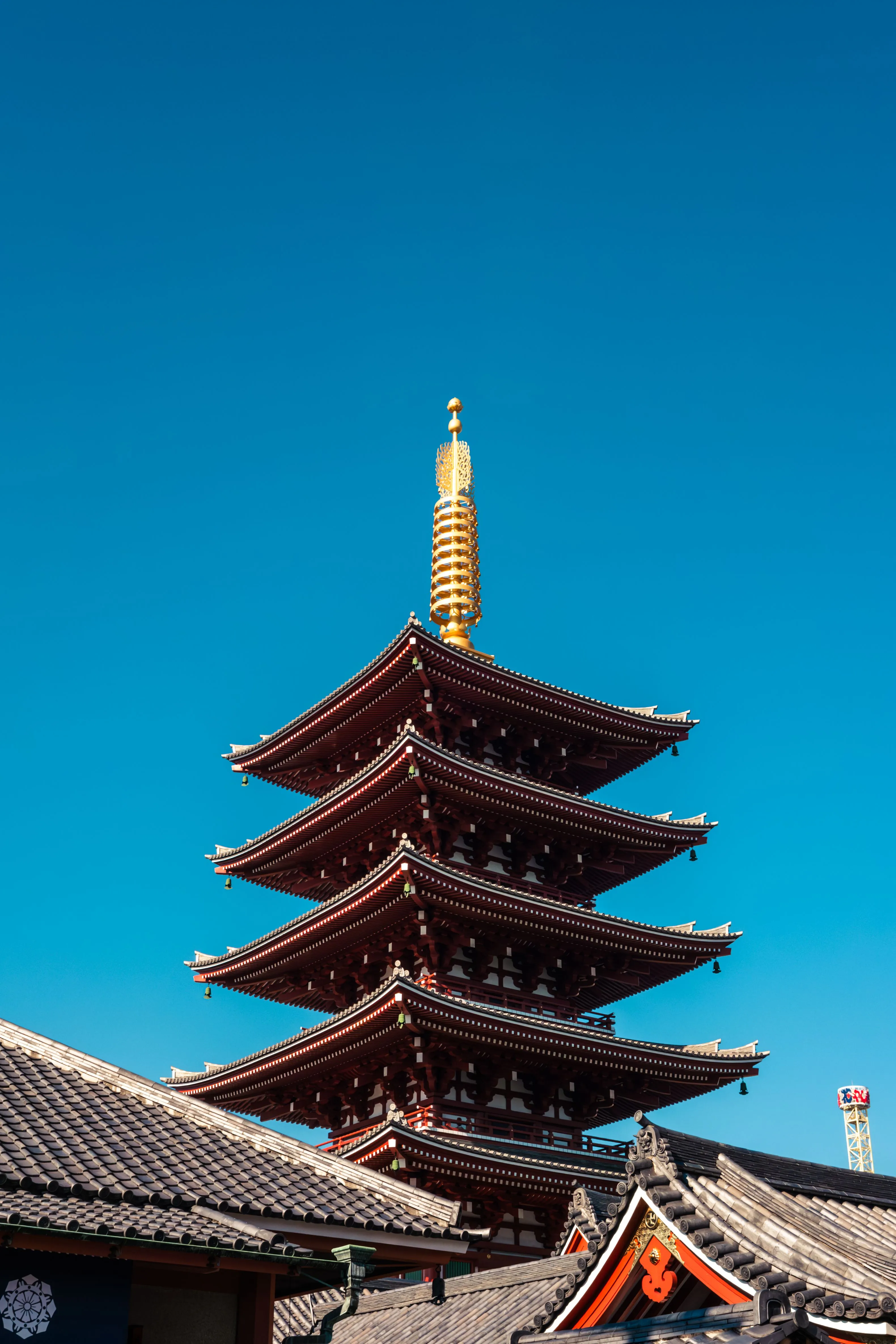 A Foodie's Guide to Exploring Tokyo